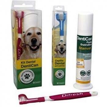 Cepillo Dental Stangest para Perros en Estuche