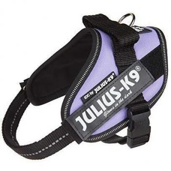 Julius-K9 IDC-Powerharness Mini-Mini Purple