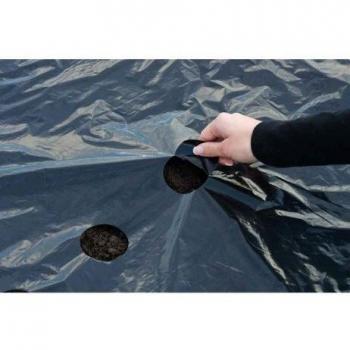 Film de paillage universel, 175 trous