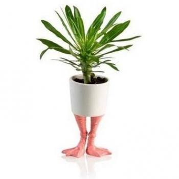 Vaso di Fiori con Piedi Divertenti