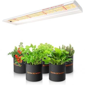 SF300 LED 33W Spider Farmer per Piantine e Verdure
