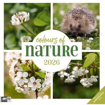 Colours of Nature Broschürenkalender 2026