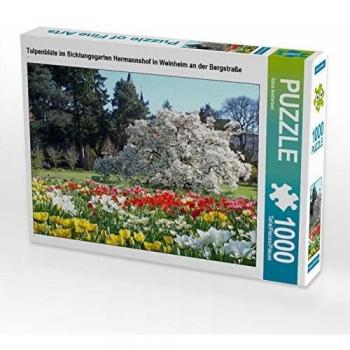 CALVENDO Puzzle Tulpenblüte im Sichtungsgarten Hermannshof in Weinheim an der Bergstraße 1000 Teile Lege-Größe 64 x 48 cm