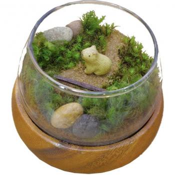 Boule de Mousse Jardin Japonais
