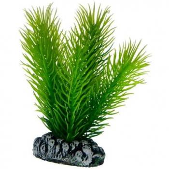 Plantita de Roca Imitación 7 cm