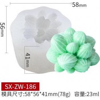 Aromatherapy Cactus Mold