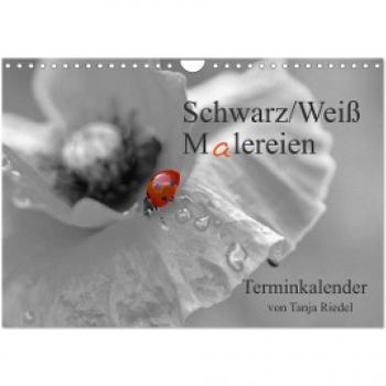 Schwarz-Weiß Malereien Terminkalender von Tanja Riedel für die Schweiz (Wandkalender 2024 DIN A4 quer) CALVENDO Monatskalender