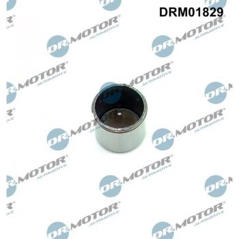 Bomba DR.MOTOR AUTOMOTIVE DRM01829 com Espigão de Alta Pressão