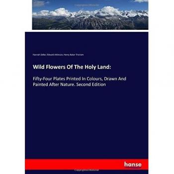 Wild Flowers Of The Holy Land: