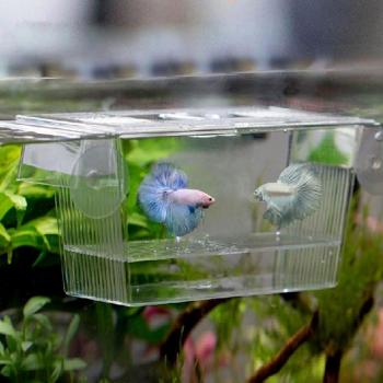 Coffret acrylique pour l’incubation et la séparation des juvéniles