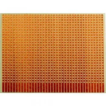 Scheda per Esperimenti Epossidica Rademacher 100 mm x 80 mm
