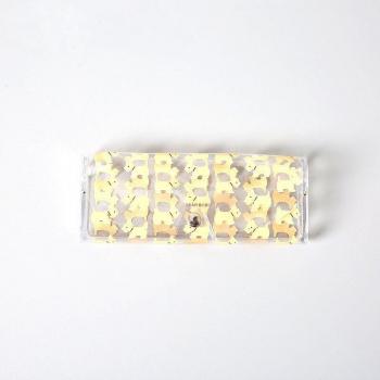 Fruit Animal Design Pencil Case