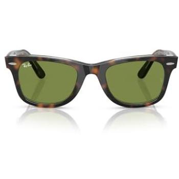 Acetate Turtle Green Wayfarer 50 mm