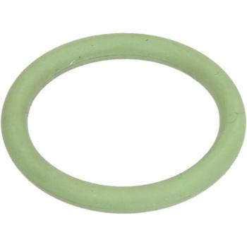 Getriebe O-Ring Dichtung EURORICAMBI 88530845