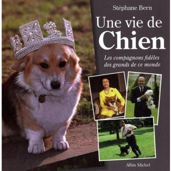 Une vie de chien