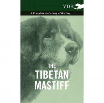 The Tibetan Mastiff