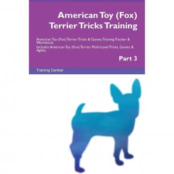 American Toy
