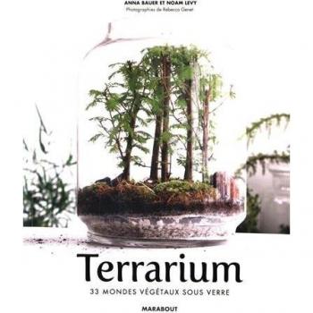 Terrariums : Les mondes végétaux sous verre