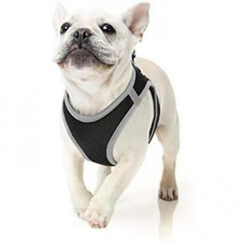 Padded Hellee Puppy Safety Vest