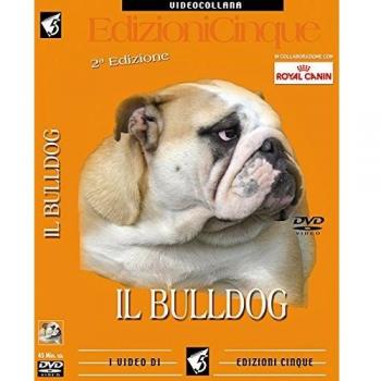 Bulldog Inglese 2° edizione