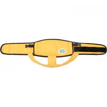 2-in-1 Safety Belt Baby Chair