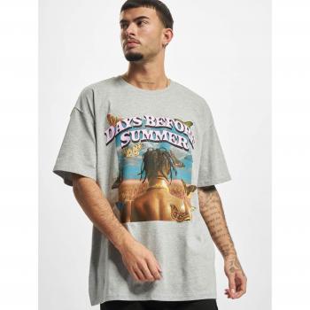 Mister Tee Days Until Summer Oversized T-shirt Grey Male M
