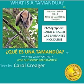 What is a Tamandua