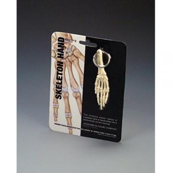Portable Body Map Key Ring – 00007032SP