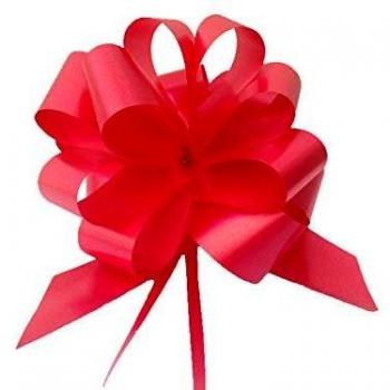 30 nastri strip 6800 31mm-Ø13cm colore rosso 07 brizzolari