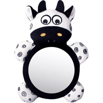 Reversing Baby Mirror