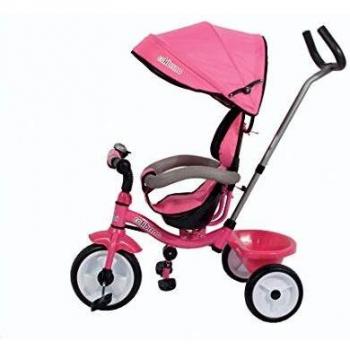Triciclo Colibrino Rosa con Cintura di Sicurezza e Maniglia Regolabile