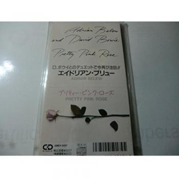 Adrian Belew Pretty Pink Rose 1990 Rare Japanese Promo CD Single