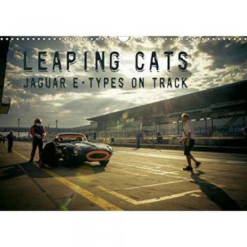 Leaping Cats