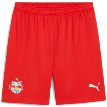Puma Shorts RB