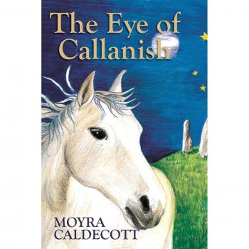 The Eye of Callanish