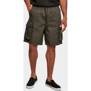 Short Cargo Urbain Classiques Sombre S