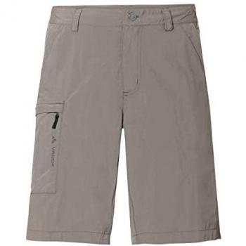 Pantalones Cortos Vaude Farley V Hombre Gris