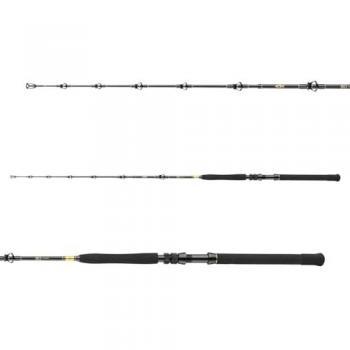 Daiwa BG Big Game 1.68m 20-30lbs Sportfischer-Rute