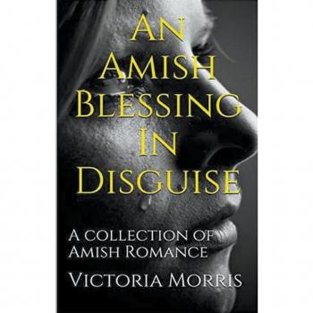 An Amish Blessing In Disguise