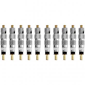 Bicycle Valve Core Stem