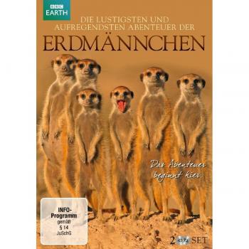 Erdmännchen