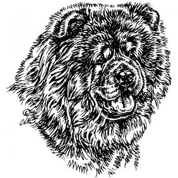 Schecker Glanzauto-Hundemarke – Chow‑Chow Aufkleber für helles Finish