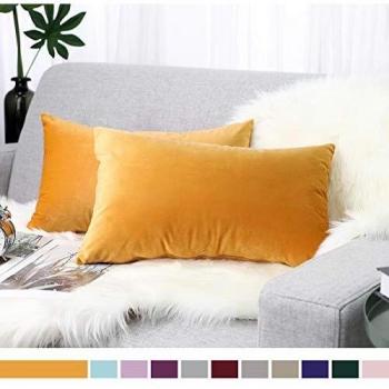 Lewondr Velvet Soft Cushion Cover, 2 Pack, 12x20