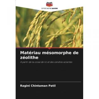 Patil, Ragini Chintaman: Matériau mésomorphe de zéolithe