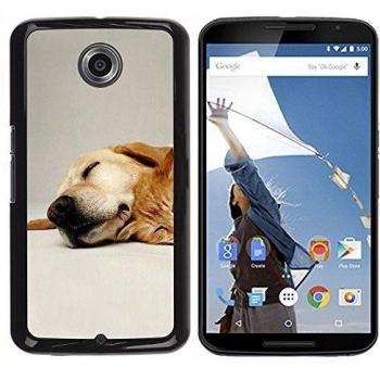 Estuche compacto de aluminio y plástico duro, negro, compatible con Motorola Nexus 6/Moto X/Moto X Pro, temática Labrador Retriever Pet Dog Golden