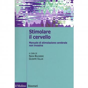 Stimolare il cervello. Manuale di stimolazione cerebrale non invasiva