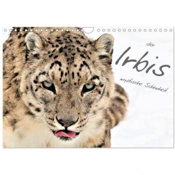 Irbis