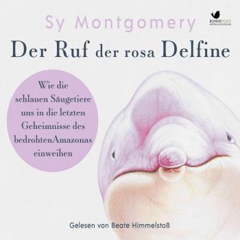 Rosa Delfine: Klänge der Freiheit