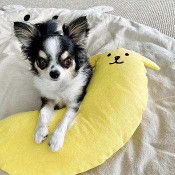 Korea Cute Cloth Material Pet Bed Pillow
