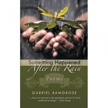 Something Happened After the Rain: Poems